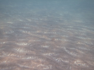 P70800682