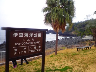 P3060231