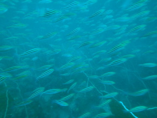 P5230133