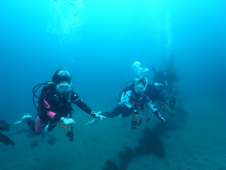 M0017604
