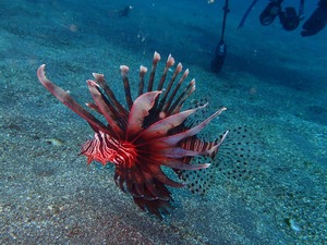 P3300308