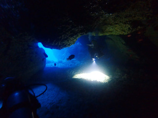 P1050066