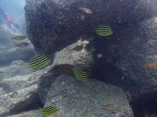 P7290180