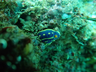 P5060656