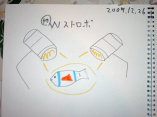 26日感想2