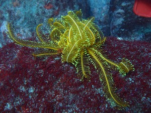 P4120065