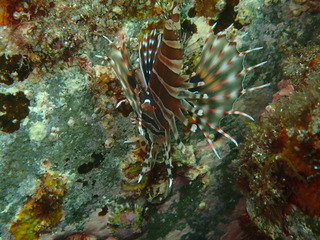 P8220051