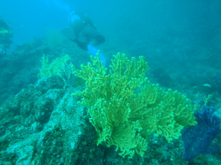 P7020189