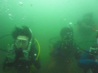 M0017516