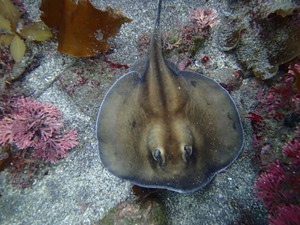 P6250034