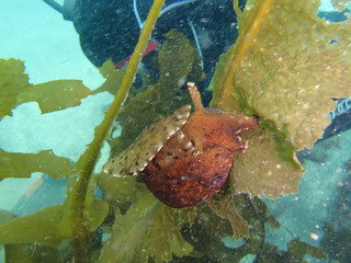 P4290038