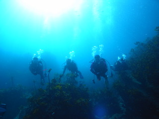 M0020807