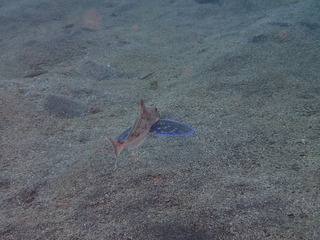 P4300400