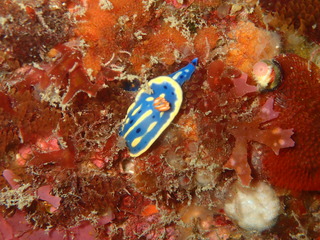 P4190105