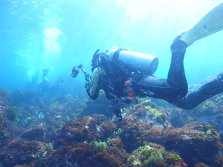 M0017167