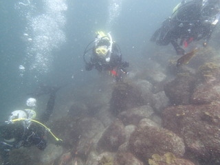 P4260028