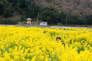 DSC00874