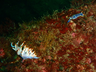 P6070151