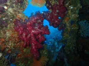 PC110135