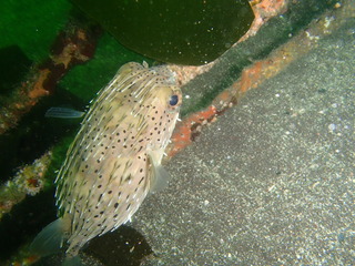 P7080794