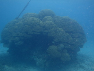 PA020090