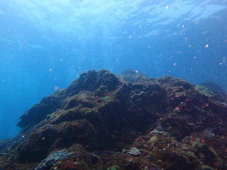 P8120100