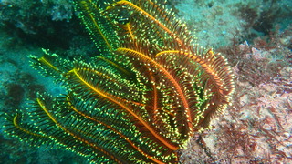 P3170288