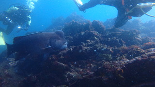 P4290897