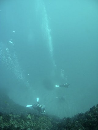 とっても綺麗な海