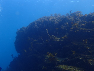 P2130029