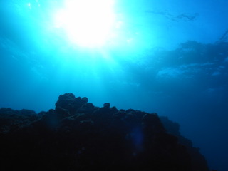 M1053318