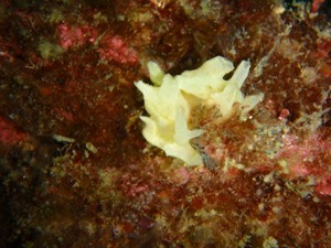 P3120070