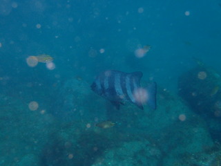 P6240030