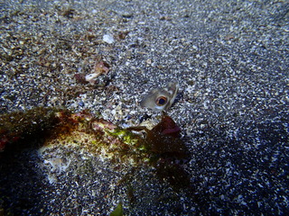 P1100021