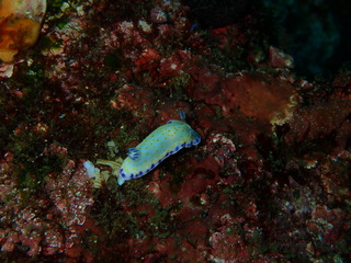 P6250195