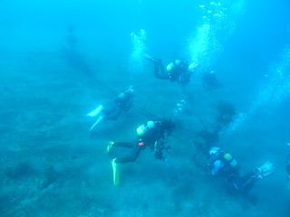 M0020880