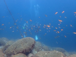 P7180217