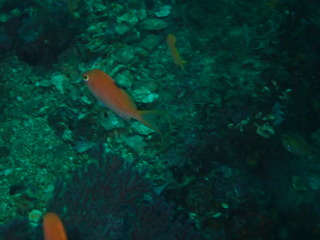 P7020141