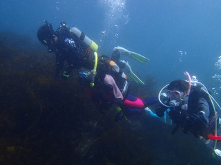 P3150911