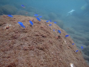 P9240039 (1)