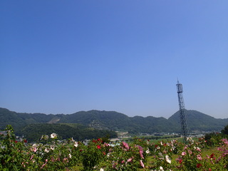 P7260019