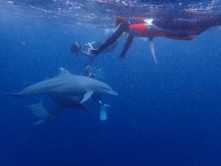 P9260295