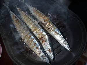 P9240050