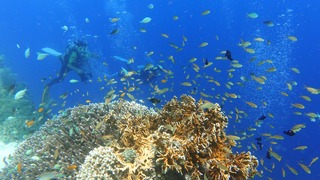 DSC03388