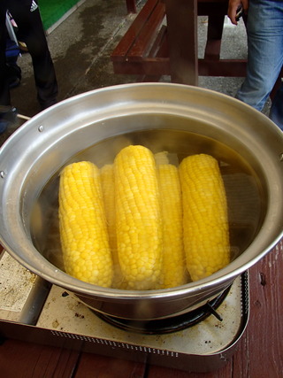 P6220393