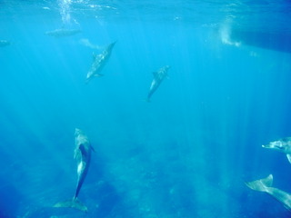 M0011741