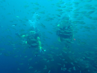 P5090043