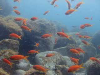 P5230075