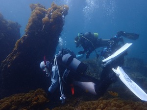 P3300175