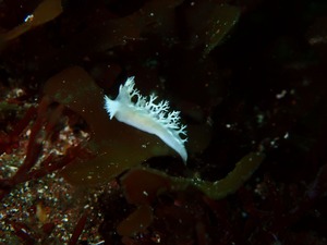 P3110071
